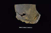 陶缽藏品圖，第2張